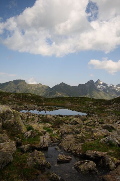 Datei:Im wildkar 23780 2008-06-26.jpg