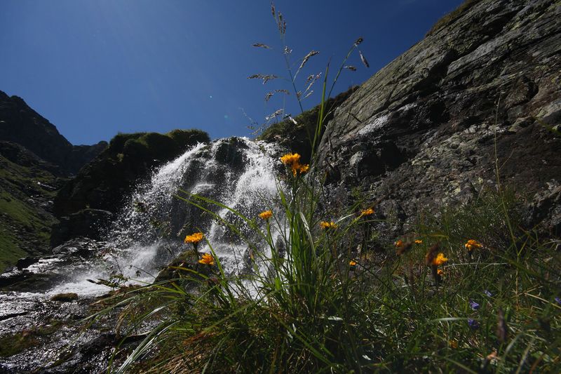 Datei:Pfannsee planaiHW 0892 2011-08-11.jpg