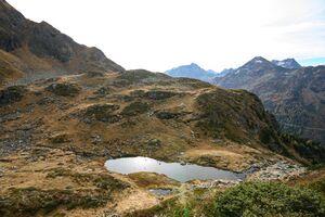 Südl 2 seen kaltenbach-31-2007-10-12.jpg