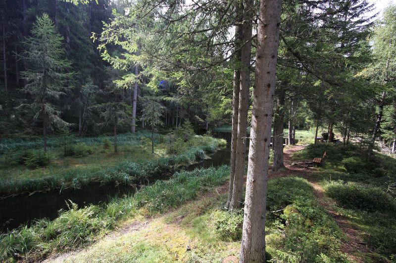 Datei:Salleitnerteich Oberhausberg 57606 2017-09-15.jpg