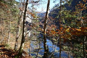 Toplitzsee 77748 2014-11-03.jpg