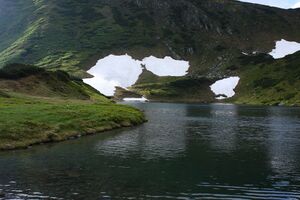 Untere riednersee 65346 2014-06-26.jpg