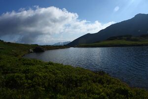 Untere riednersee 65362 2014-06-26.jpg
