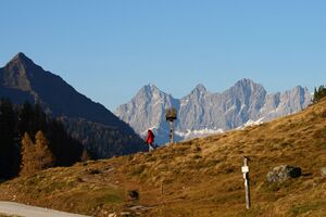 Ursprungalm 24582 2008-10-18.jpg