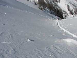 Wildkar 2500 2007-03-05.jpg