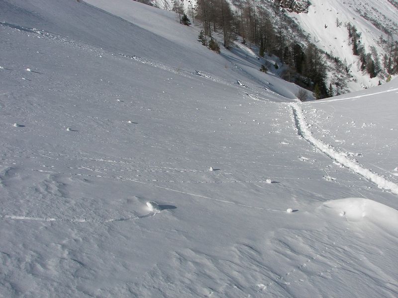 Datei:Wildkar 2500 2007-03-05.jpg