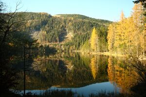 Ödensee 77949 2014-11-03.jpg