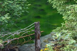 Bodensee seewigtal 63511 2014-06-21.jpg