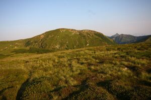 Breiteckkoppe 1030 13-08-06.jpg