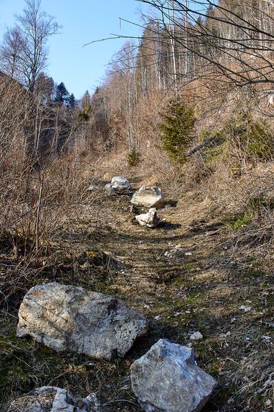 Datei:Felssturz luserfall-0031-2023-03-05.jpg