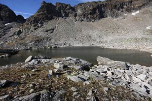 Goldlacken 0336 2013-10-08.jpg