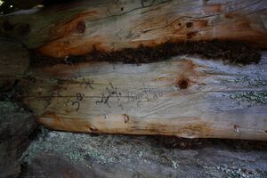 Hütte fürstkar 0858 13-07-13.jpg