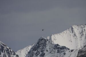 Hubschraubsamspitze pietrach 03528 2011-03-10.jpg