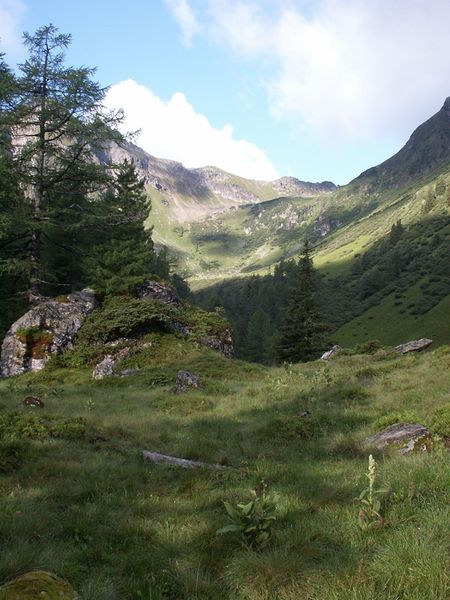 Datei:Im herzmeierkar 15461 2005-07-20.jpg