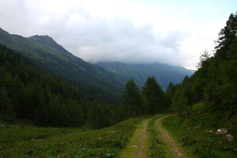 Datei:Katschtal 92593 2015-06-18.jpg