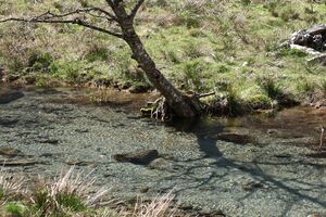 Kleinsölker Obertal 54849 2014-04-30.jpg
