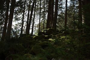 Kleinsölkertal 74442 2014-10-07.jpg