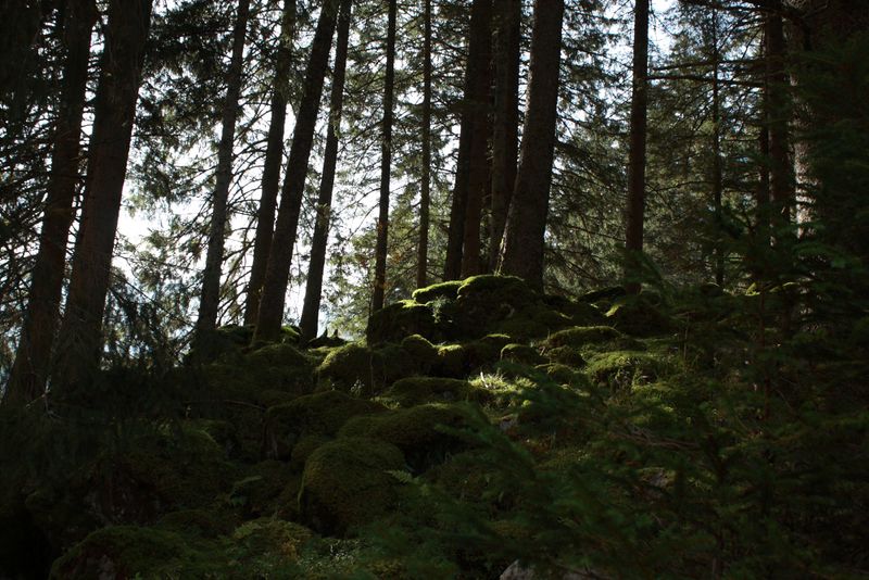 Datei:Kleinsölkertal 74442 2014-10-07.jpg