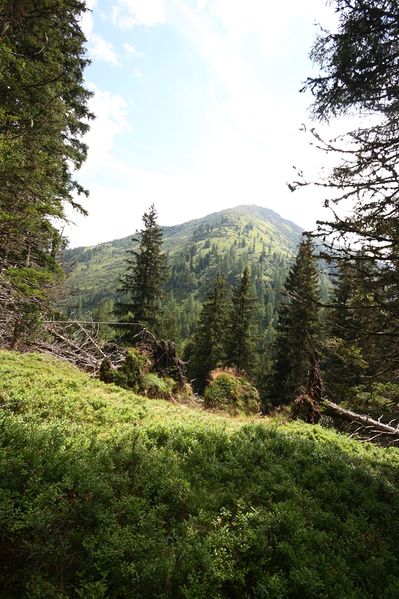 Datei:Knallkar großsölk 55648 2016-08-17.jpg