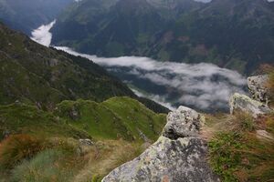 Krahbergzinken 0351 2011-07-19.jpg