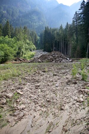 Mure Untertal-075-2026-06-30.jpg