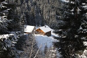 Steinwenderalm steinriesental 59742 2013-02-22.jpg