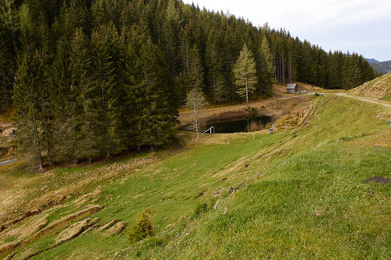 Datei:Stubeggsattel-0171-2021-05-24 07.50.24.jpg