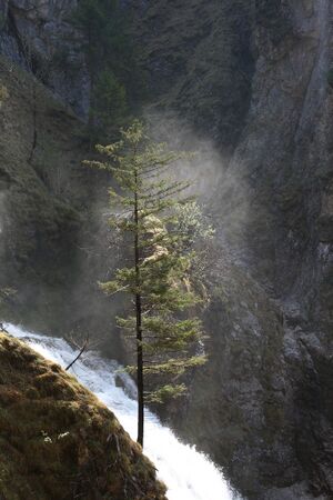 Wasserlochklamm palfau 70407 2018-04-23.jpg