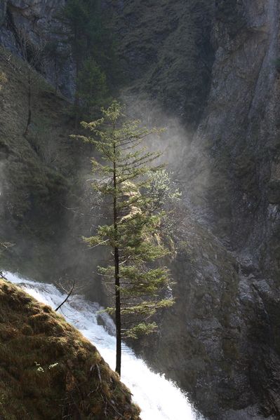 Datei:Wasserlochklamm palfau 70407 2018-04-23.jpg
