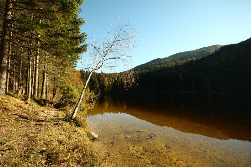 Datei:Ödensee 77938 2014-11-03.jpg