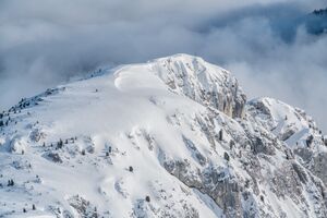 2018-03-03 DSC1536.jpg