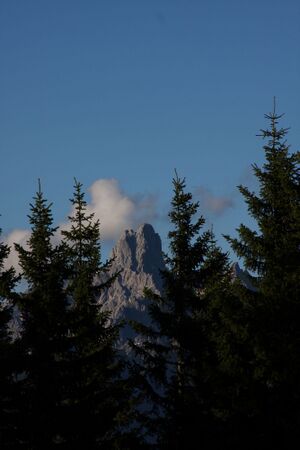 Bischofsmütze-rossbrand 28221 2010-09-12.jpg