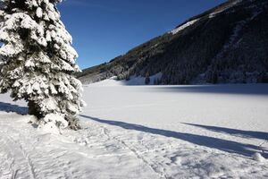 Bodensee 26541 2014-01-01.jpg