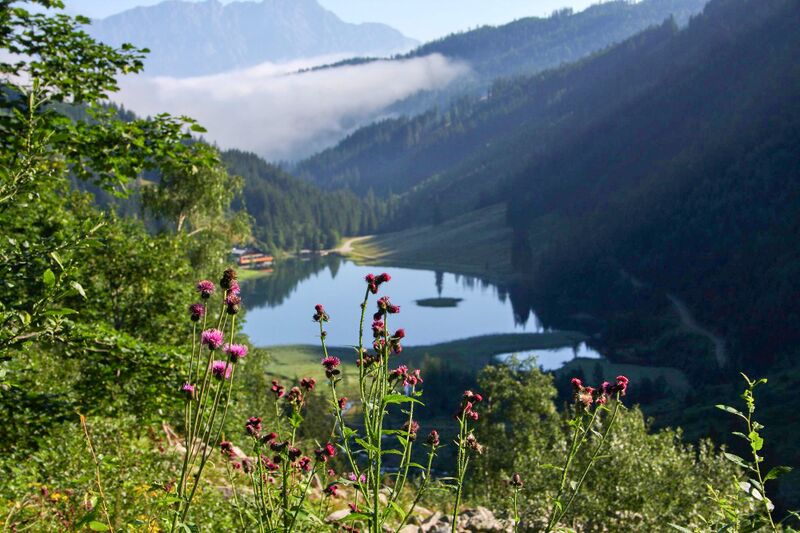 Datei:Bodensee 30262 2011-08-02.jpg