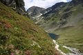 Giglachsee 1257 2011-06-22.jpg