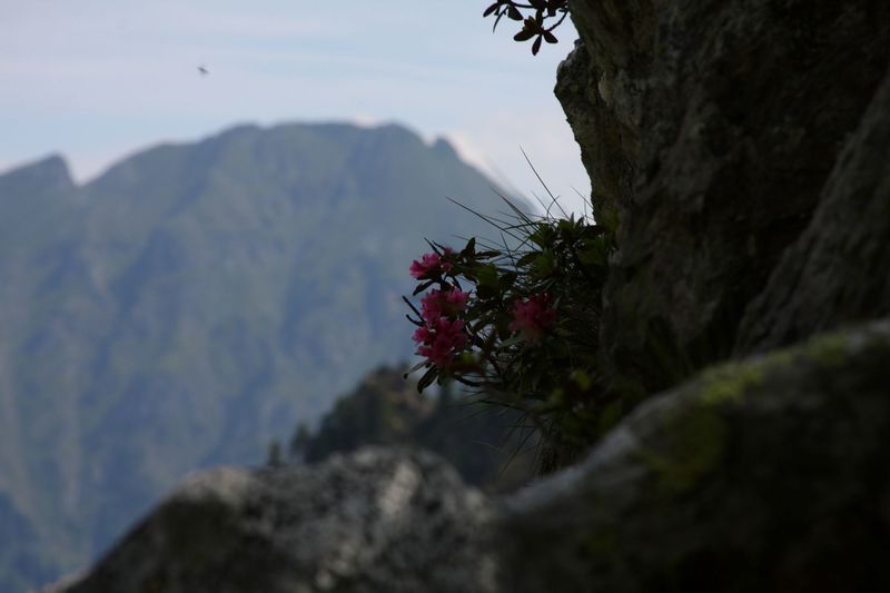 Datei:Herzmaierkar 32488 2011-07-06.jpg