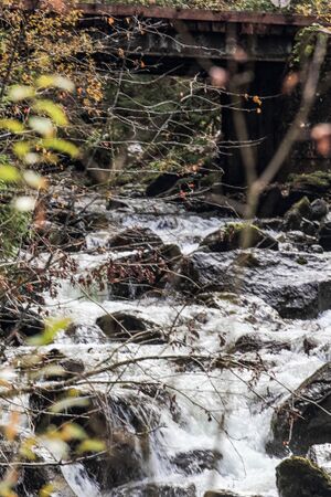 Kothüttenbach mittereggtal 63517 2017-11-02.jpg