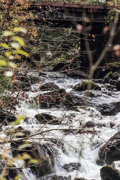 Datei:Kothüttenbach mittereggtal 63517 2017-11-02.jpg