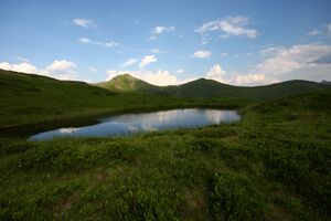 Krottenseen 1696 13-08-05.jpg