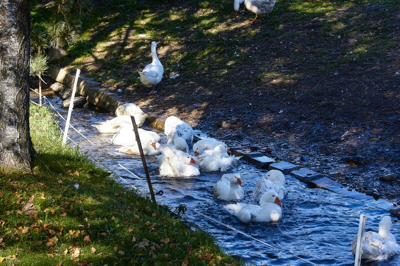 Datei:Landgut putterer-1000-2021-09-24-facebook-2.jpg