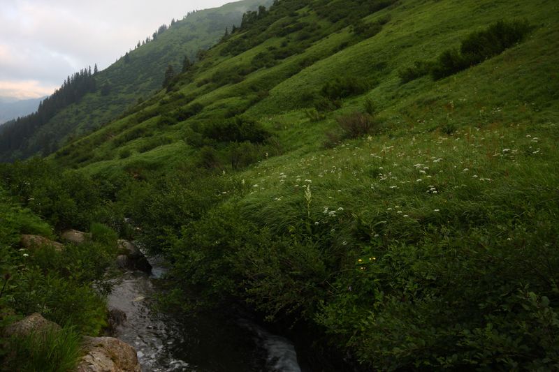 Datei:Mößnakarbach 1304 13-07-12.jpg