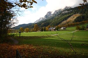 Rausch ramsau 05863 2015-10-09.jpg