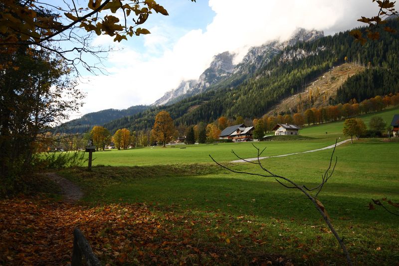 Datei:Rausch ramsau 05863 2015-10-09.jpg