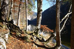 Toplitzsee 77733 2014-11-03.jpg