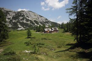 Traweng tauplitzalm 51492 2017-06-24.jpg