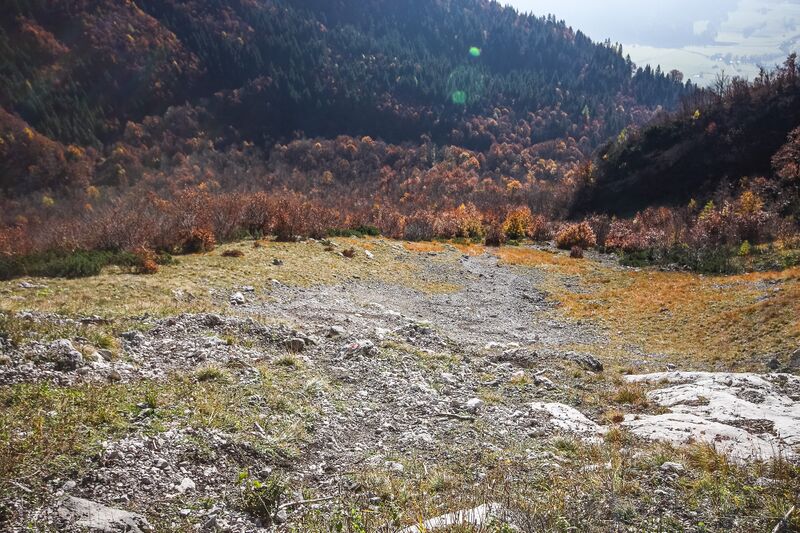 Datei:Die Au grimming-1000-2015-10-28-3.jpg