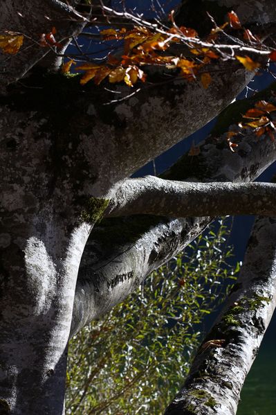 Datei:Grundlsee See 78015 2014-11-03.jpg