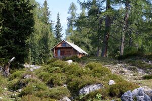 Handleralm Straßen-BA-0102-2023-09-17.jpg