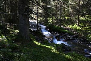 Neualmbach kleinsölk 72493 2014-09-17.jpg