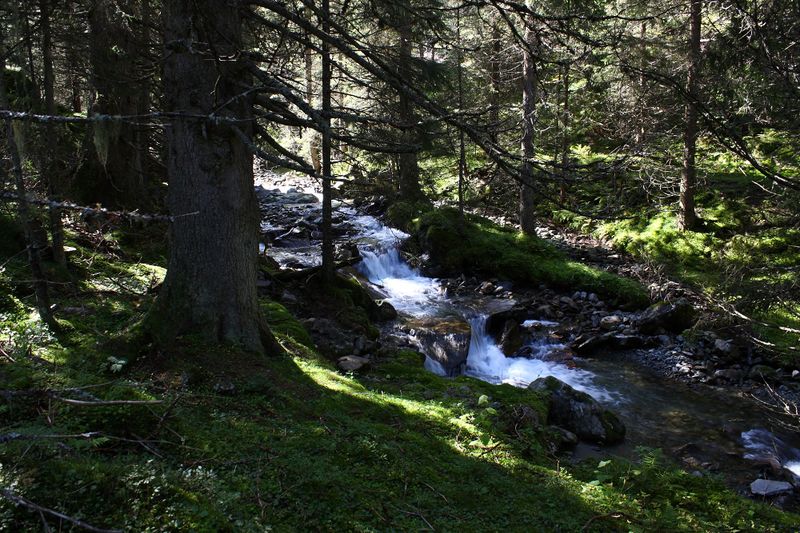 Datei:Neualmbach kleinsölk 72493 2014-09-17.jpg